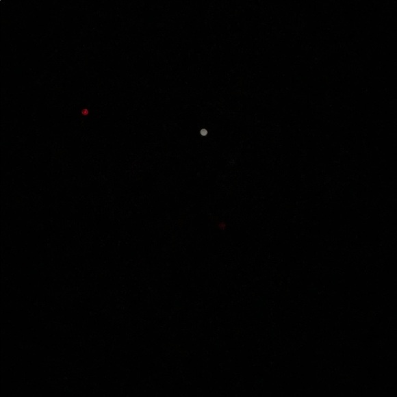 Meet your Posher, Larry - Picture 1 of 1